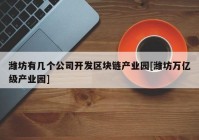 潍坊有几个公司开发区块链产业园[潍坊万亿级产业园]